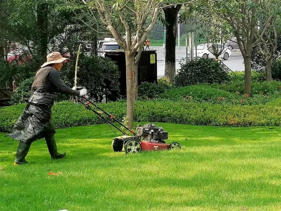 綠化養護打草